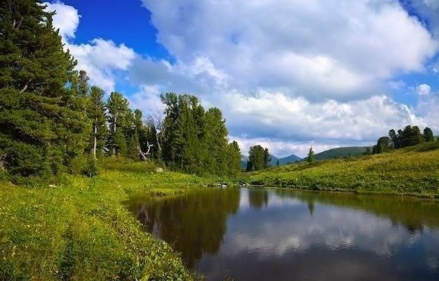 Красота русской природы в рассказе И. С. Тургенева "Лес и степь"