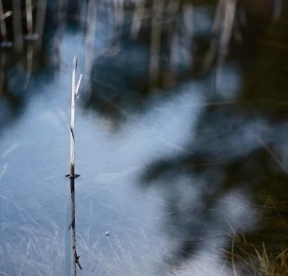 Болотные робинзоны: История мужества и надежды в тылу врага