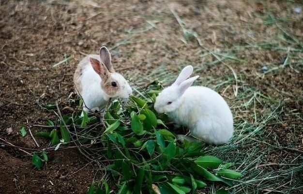 В погоне за Белым Кроликом