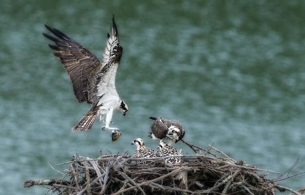 Неудачное сватовство журавля и цапли