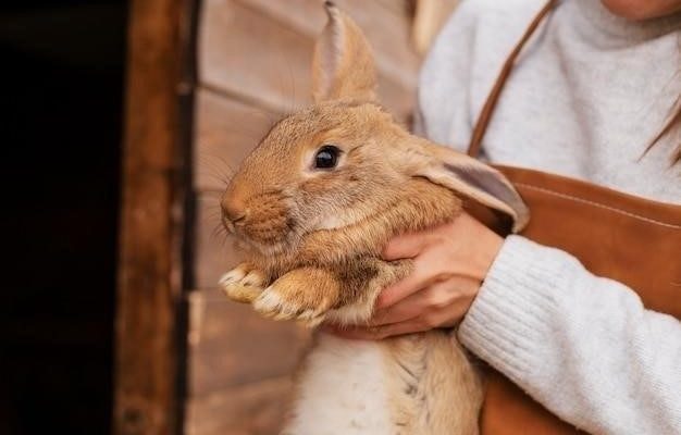 Заячьи лапы: История спасения и доброты