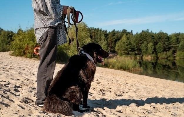 Похищение собаки: краткое содержание рассказа из цикла Денискины рассказы