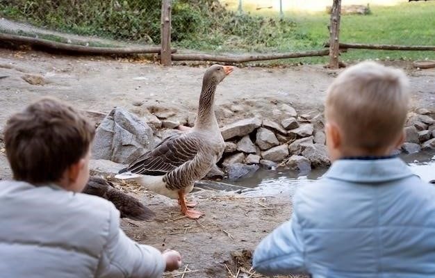 Яичко: История о дружбе мальчика и гуся