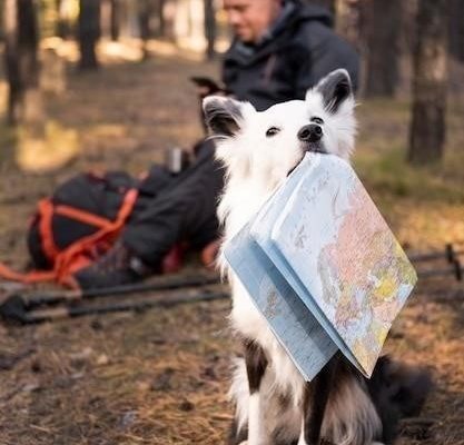 В поисках утраченного подарка: путешествие в Ветрогорск