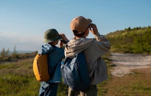 Дружба Малыша и Карлсона: История о радости, приключениях и настоящей дружбе