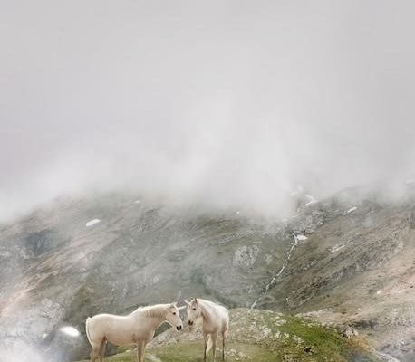 Волшебный козлик с серебряным копытцем: сказ о добре, мечтах и чудесах