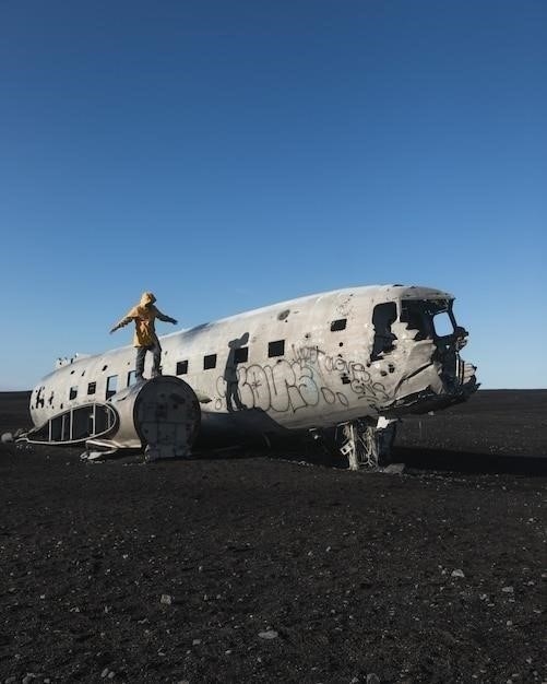 Подвиг Михаила Девятаева: побег из плена на вражеском самолете