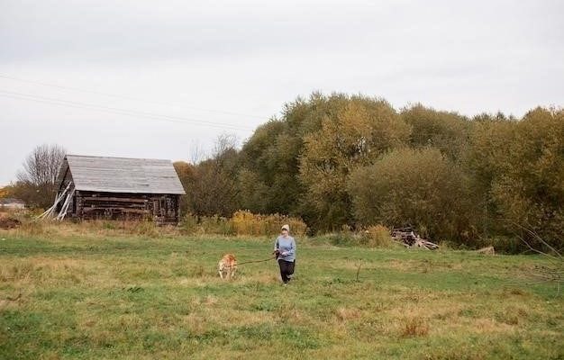 В деревне