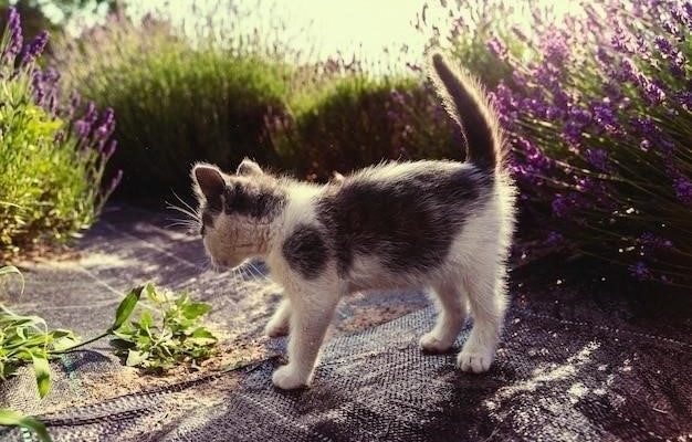 Кошка, которая гуляла сама по себе: Краткое содержание сказки