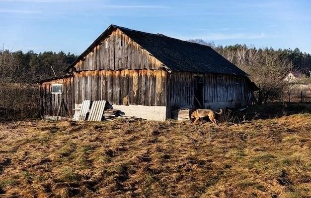 Кошкин дом: от богатства к бедности и обратно