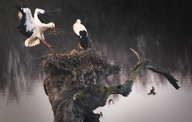 Загадочный мир "Гадких лебедей": анализ повести Стругацких