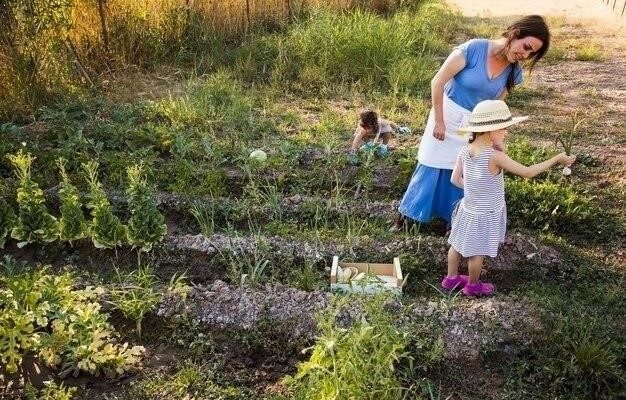 Ранняя весна в деревне: контрасты и противоречия