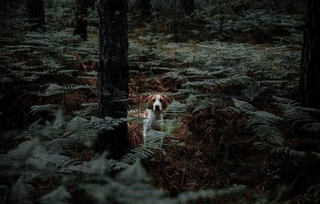 Пробуждение Арктура: История слепого пса, обретшего себя в лесу