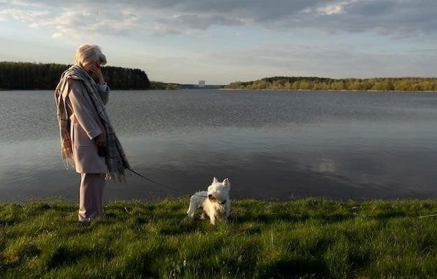 Формула добра: Лабрадор, старушка и секреты прошлого