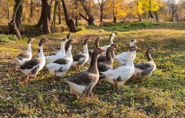 Гуси в полынье: Мужество и сострадание на Енисее